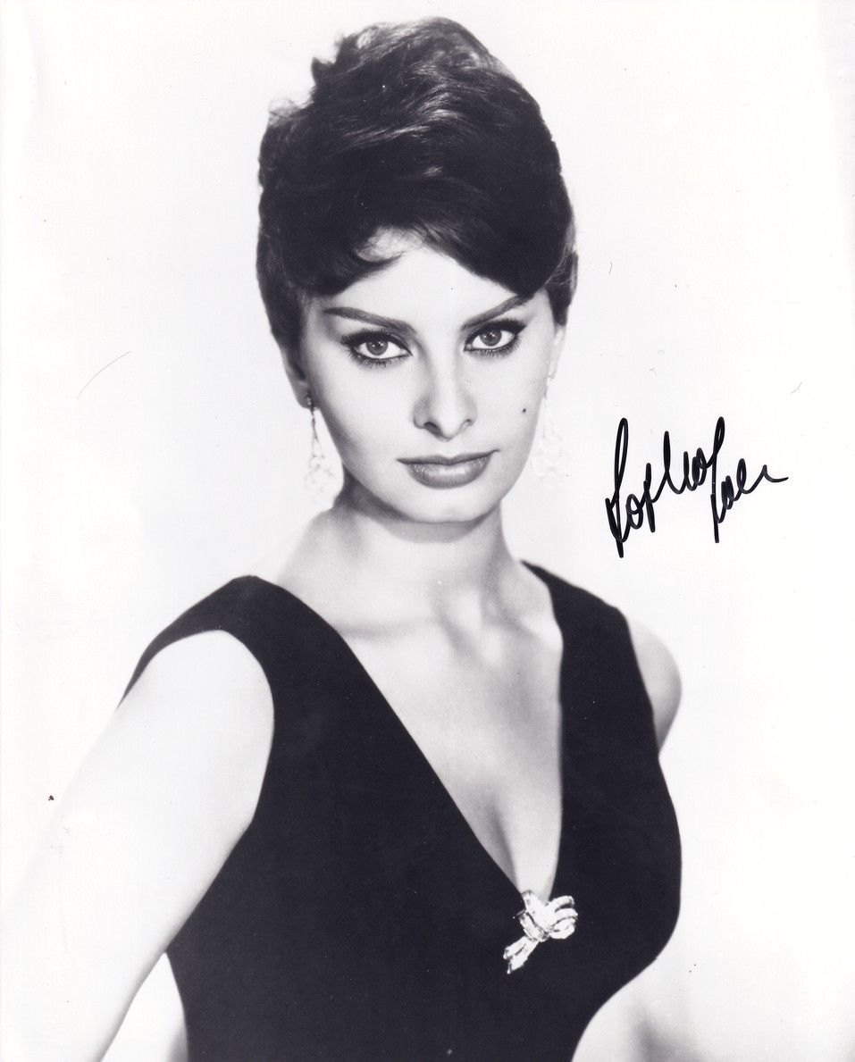 Autogramm Film (ITA) | Sophia LOREN | 1960er Foto (Portrait SW XL) SEXY