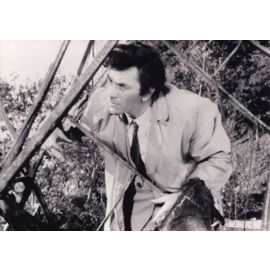 Filmfoto (USA) | Peter FALK | 1974 "Columbo - Schwanengesang" XM