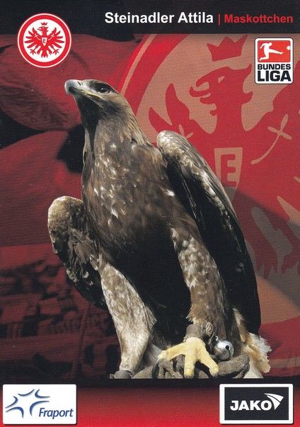 AK Fussball | Eintracht Frankfurt | 2007 | ATTILA (Maskottchen)