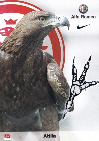 AK Fussball | Eintracht Frankfurt | 2014 | ATTILA (Maskottchen)