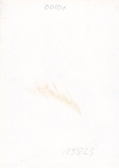 Autogramm Fussball | Hallescher FC | 2000 | Laszlo KARDOS