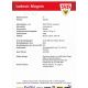 Autogramm Fussball | VfB Stuttgart | 2005 | Ludovic MAGNIN