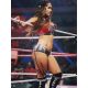 Autogramm Model / Wrestling | Nikki BELLA | 2010er Foto...