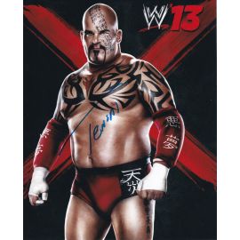 Autogramm Wrestling | TENSAI | 2013 Foto (Portrait Color XL)