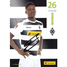 Autogramm Fussball | Borussia Mönchengladbach | 2016 | Tsiy William NDENGE