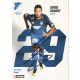Autogramm Fussball | TSG 1899 Hoffenheim | 2017 | Serge...
