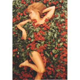 Autogramm Film (USA) | Bette MIDLER | 1979 Foto "The Rose" (Portrait Color XL) SEXY
