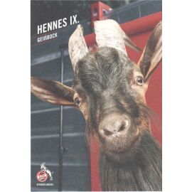 AK Fussball | 1. FC Köln | 2021 | HENNES IX. (Maskottchen)