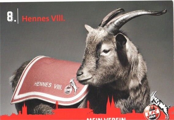 AK Fussball | 1. FC Köln | 2012 | HENNES VII. (Maskottchen) 2