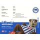 Autogramm Fussball | Hertha BSC Berlin | 2008 | HERTHINHO...