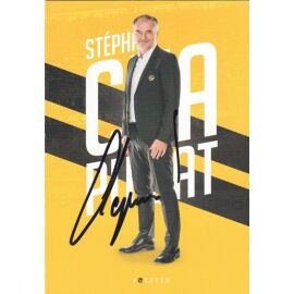 Autogramm Fussball | BSC Young Boys Basel | 2010er | Stephane CHAPUISAT