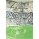Autogramm Fussball | Hamburger SV | 2004 | Björn...