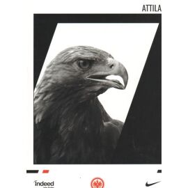 AK Fussball | Eintracht Frankfurt | 2019 | ATTILA (Maskottchen)