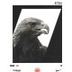 AK Fussball | Eintracht Frankfurt | 2019 | ATTILA...