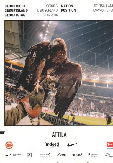 AK Fussball | Eintracht Frankfurt | 2019 | ATTILA (Maskottchen)
