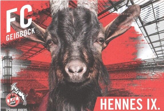 AK Fussball | 1. FC Köln | 2020 | HENNES IX. (Maskottchen)