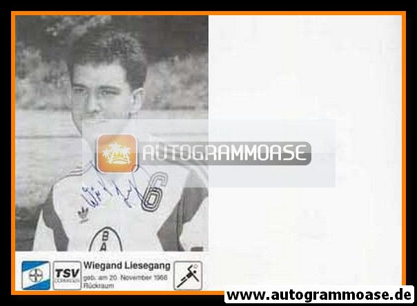 Autogramm Handball | TSV Bayer Dormagen | 1990er SW | Wiegand LIESEGANG