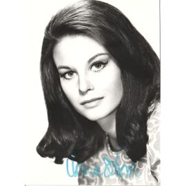 Autogramm Film (USA) | Lana WOOD | 1960er Foto (Portrait SW XM) "Peyton Place"